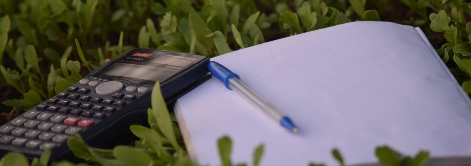 Hochzeit finanzieren: der Budget-Ratgeber Hochzeit finanzieren: der Budget-Ratgeber