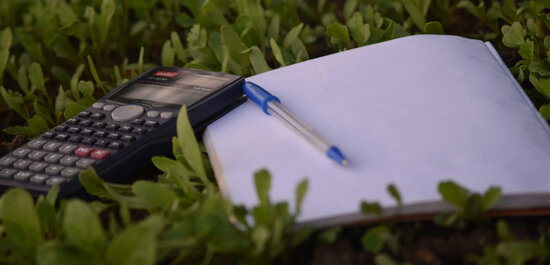 Hochzeit finanzieren: der Budget-Ratgeber für eine stressfreie Planung